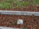 image of grave number 57704